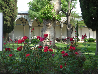 P1040311.JPG 3456x2592 index 67